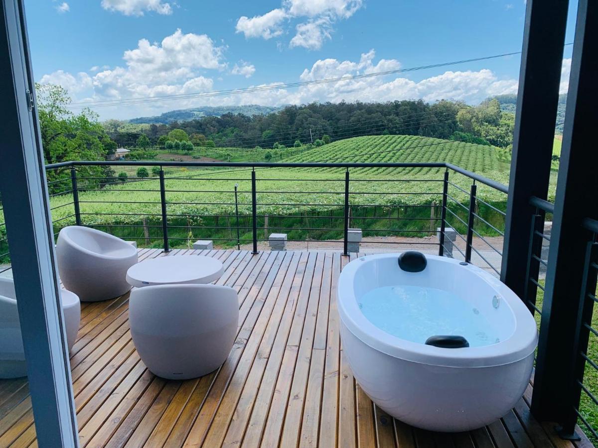 Vista Vigneti Albergo & Vino - Vale Dos Vinhedos Bento Gonçalves Buitenkant foto