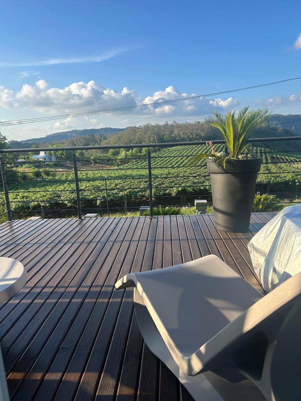 Vista Vigneti Albergo & Vino - Vale Dos Vinhedos Bento Gonçalves Buitenkant foto