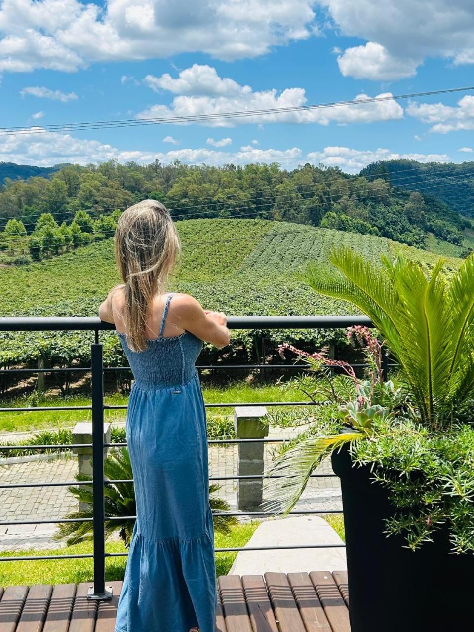 Vista Vigneti Albergo & Vino - Vale Dos Vinhedos Bento Gonçalves Buitenkant foto